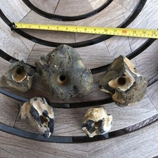 Flint hag stone for sale  BURY ST. EDMUNDS