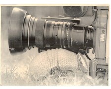 Baby armadillo camera for sale  Brooklyn