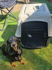 Vari kennel ultra for sale  BRISTOL