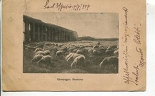 Campagna romana 1909 usato  Molfetta