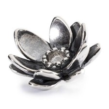 Trollbeads loto spirituale usato  Santa Maria Capua Vetere