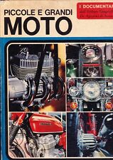 Libro piccole grandi usato  Torino