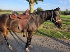Westernsattel diamond 16 gebraucht kaufen  Bergkamen