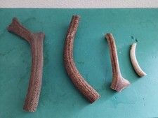 Bois cerf circonferences d'occasion  France