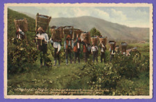 PORTUGAL PINHAO VINTAGE PC. 7909 comprar usado  Enviando para Brazil