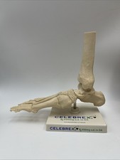 Vioxx foot skeleton for sale  Salt Lake City