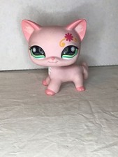 lps cat for sale  Fresno