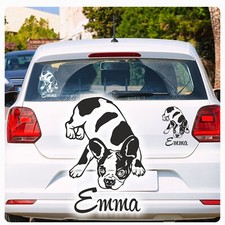 Französische bulldogge auto gebraucht kaufen  Darmstadt