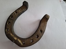 cavallo murgese usato  Padova