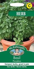 Basil piccolino 300 for sale  NEWMARKET