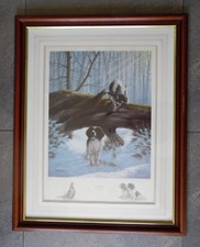 Nigel hemming dogs for sale  WEST MOLESEY