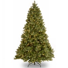 National tree company for sale  USA