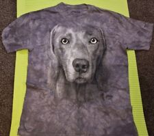 Mountain dog weimaraner for sale  DONCASTER
