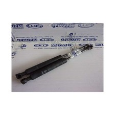 Pistoncini molle gas usato  Pratola Peligna