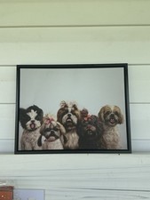 Dog picture for sale  Morristown