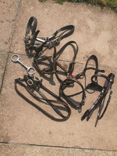 Pony bundle english for sale  BRIDGNORTH