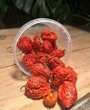 10g carolina reaper for sale 10g carolina reaper for sale  LIVERPOOL