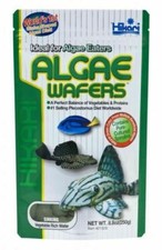Hikari ideal algae for sale  COLCHESTER