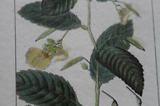 Gravure turpin 1820 d'occasion  Brioude