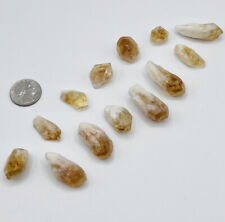 150g natural rough for sale  Milford