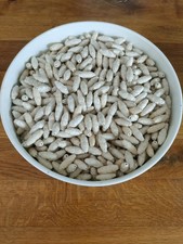 Gros lot petites d'occasion  Lille-