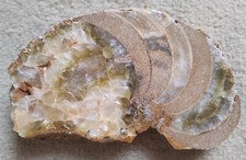 Beau morceau ammonite d'occasion  Paris XVII