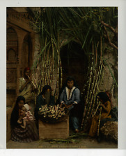 Egypt cairo cannes d'occasion  Expédié en Belgium