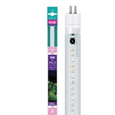 Arcadia led röhre gebraucht kaufen  München