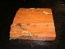 petrified wood slab for sale petrified wood slab for sale Dyer