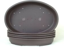 Oval plastic bonsai for sale  LUTTERWORTH