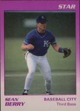 Cartões de beisebol B3106-1989 Star Minor League G3 -Você escolhe - 15+ FRETE GRÁTIS DOS EUA, usado comprar usado  Enviando para Brazil