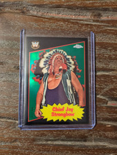 2025 chief jay for sale  Shipping to Ireland