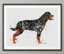 rottweiler d'occasion rottweiler d'occasion Expédié en Belgium