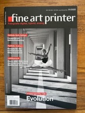 Zeitschrift fine art gebraucht kaufen  Wittlich
