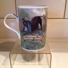 Danbury mint staffordshire for sale  THORNTON-CLEVELEYS