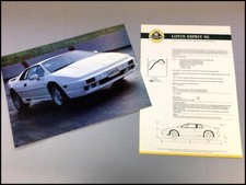 1989 1990 lotus for sale  Red Wing