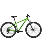 Mountain bike mtb usato  Viticuso