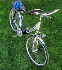 Zoll damencityrad federgabel gebraucht kaufen  Auenwald