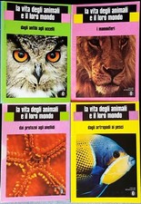 Bertin vita degli usato Bertin vita degli usato  Ferrara