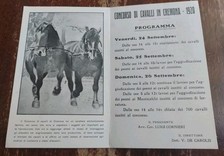 Cartolina epoca originale usato  Saronno