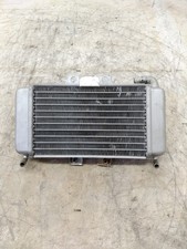 Radiatore acqua per usato  Italia