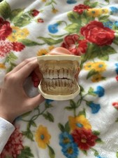 Dental hygiene practice for sale  Fargo
