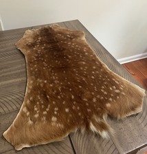 Whitetail deer fawn for sale  Clarksville