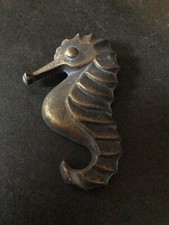 marine seahorse for sale marine seahorse for sale BUNGAY