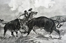 Bull fight western for sale  Brooklyn