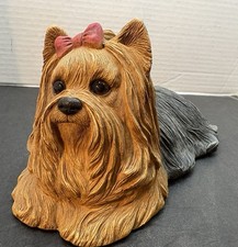 yorky puppy for sale yorky puppy for sale Waterford