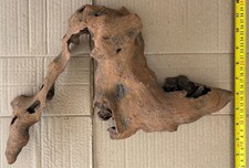 Medium sized bogwood for sale  SAFFRON WALDEN