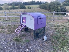 Purple eglu cube for sale  ST. ASAPH