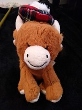 Pippins highland cow for sale  SOUTH SHIELDS
