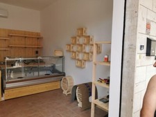 Vendo attrezzatura usato  Sarno
